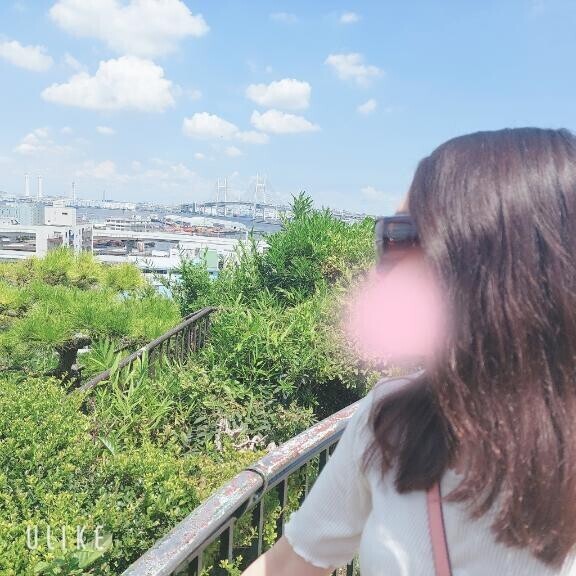 言い訳の正体