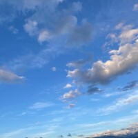 シフト更新したよん?