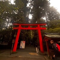 ありがとう??