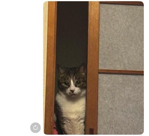 今日は??