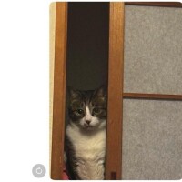今日は??