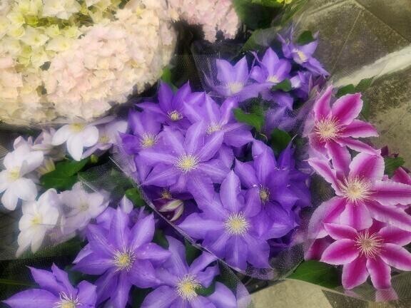 大分暑くなってきましたね
