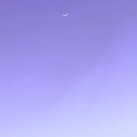 まあみ