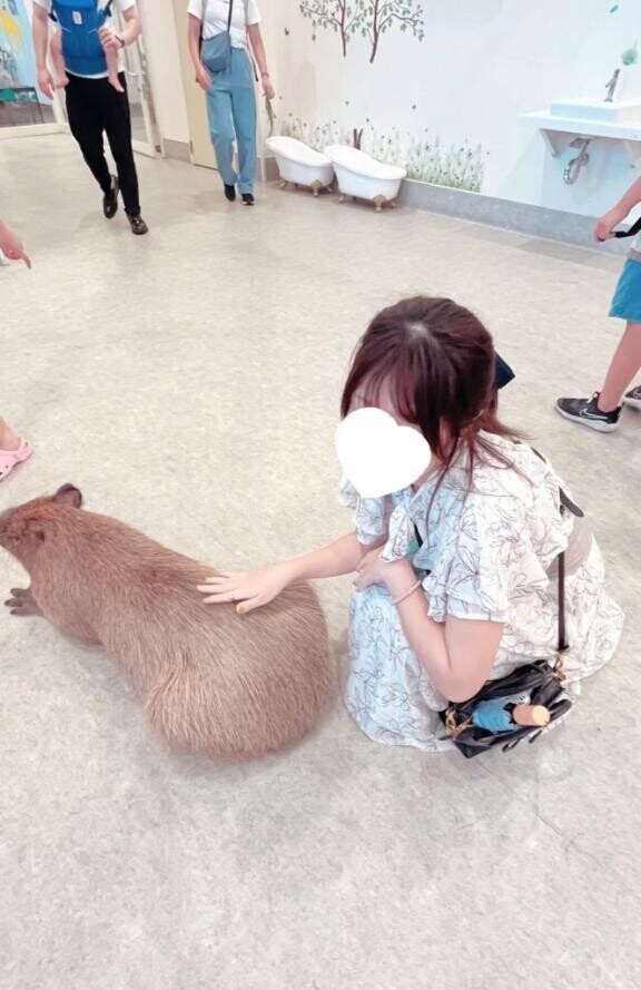 ?いい天気