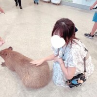 ?いい天気