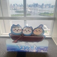 8月スタート??