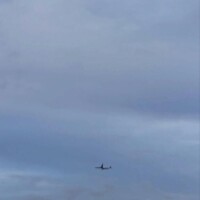 *たまには