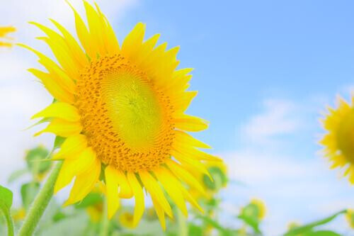 レベルアップ★