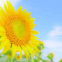 レベルアップ★