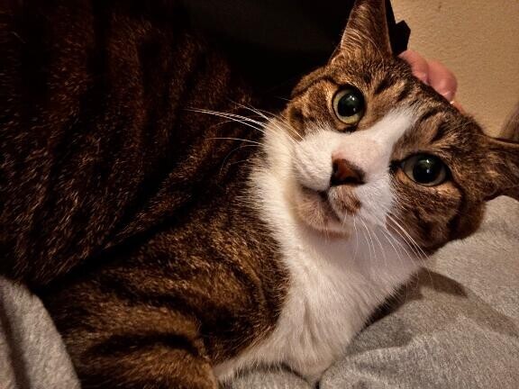 次は木曜日?