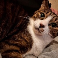 次は木曜日?