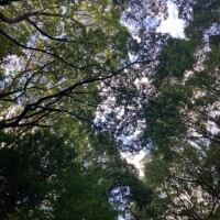 しばらく旅に出ます