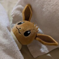 明日ねー