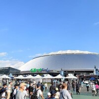 沙羅