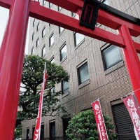 今日も朝から