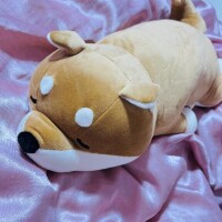 先週末はごめんなさい??♀?