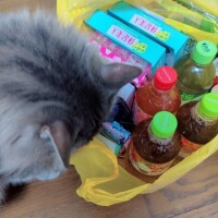ありがとう?