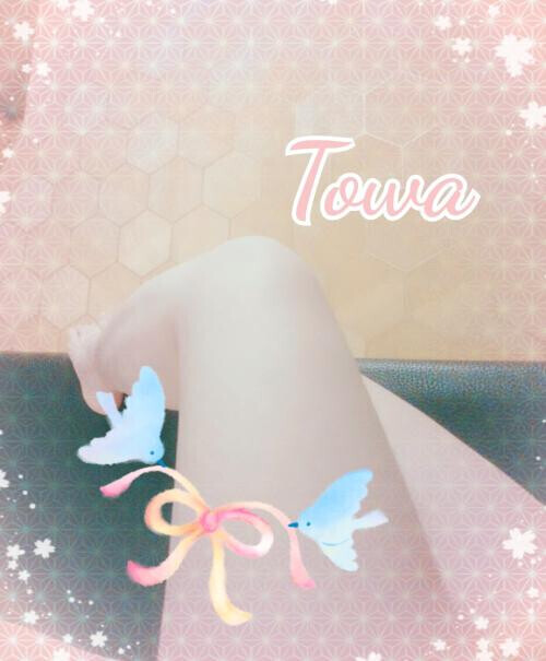 来週の予定♡