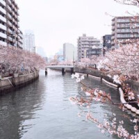 BADさん裏のほう🌸😊