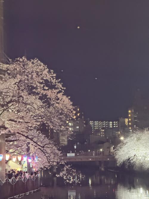お誘い待ってます❣️