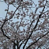 すみません?