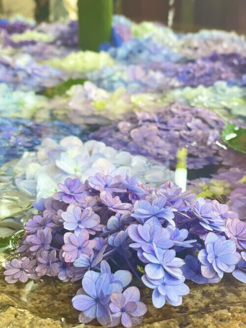 5月◌𓈒🎏𓂃 𓈒𓏸◌‬゜完売🌟
