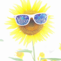 完売ありがとうございます🫰