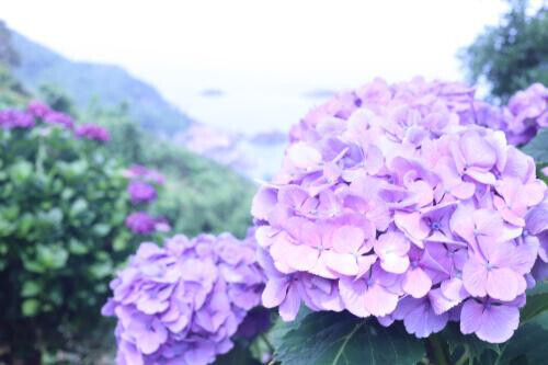 完売ありがとうございます✨️