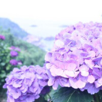 完売ありがとうございます✨️