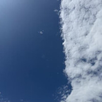 触って？