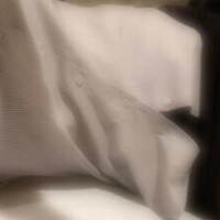 わかば