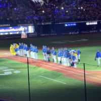 完売ありがとうございます❣️