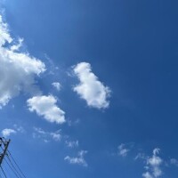 昨日は