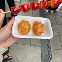 かえで