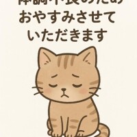 ごめんなさい?