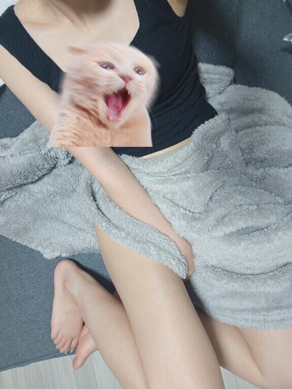 お休み中～