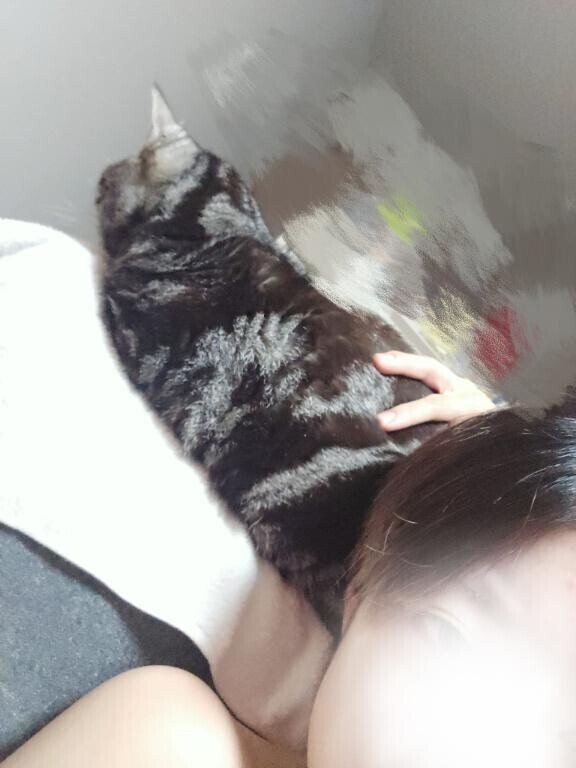 にゃん