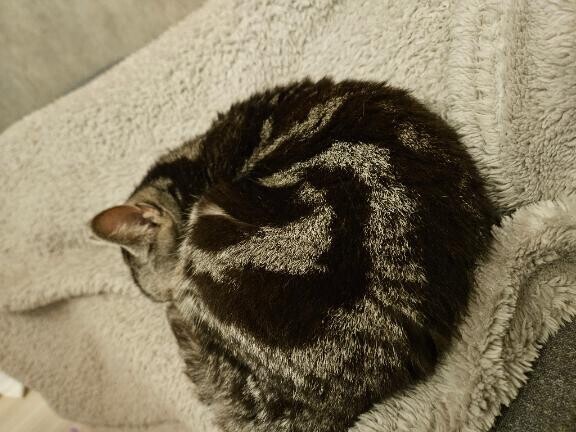 すみません