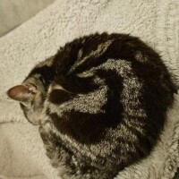 すみません