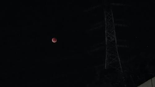 てってれー