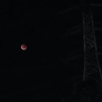 てってれー