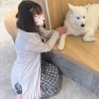 あずさ