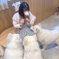 癒しの時間