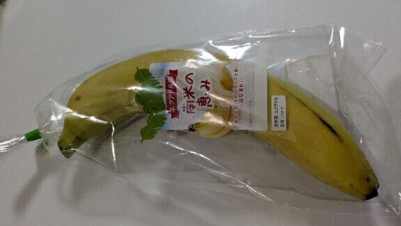 見れたのかな...