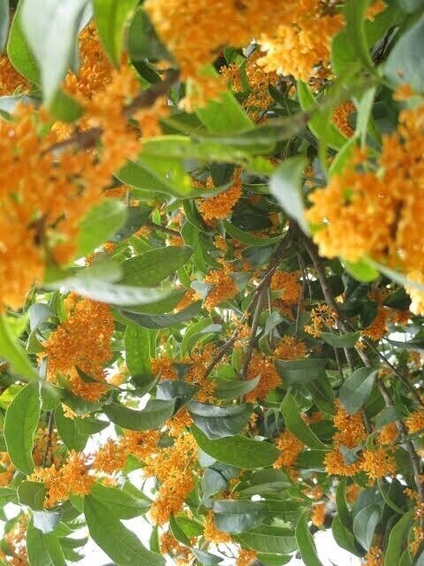 おはようございます??