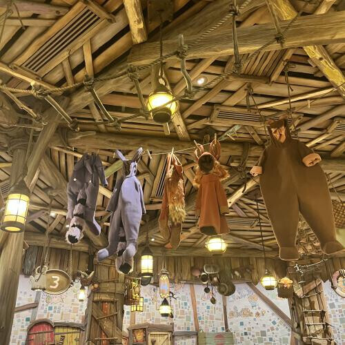 こんばんは〜！