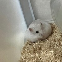 【11/10～11/15の業務日誌】