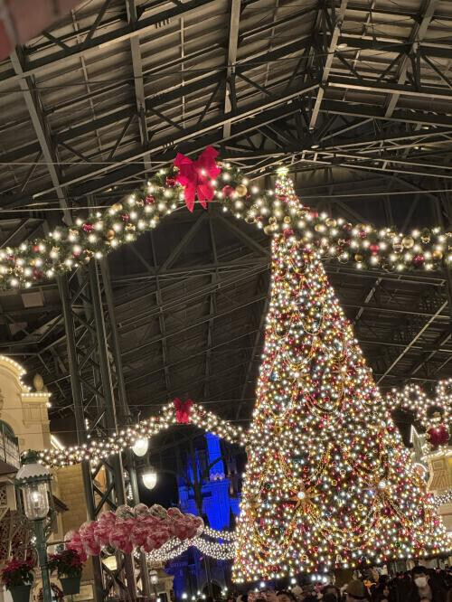 冬がやってきた〜🎄♡