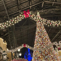 冬がやってきた〜🎄♡