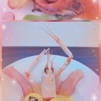 人は見かけによらない